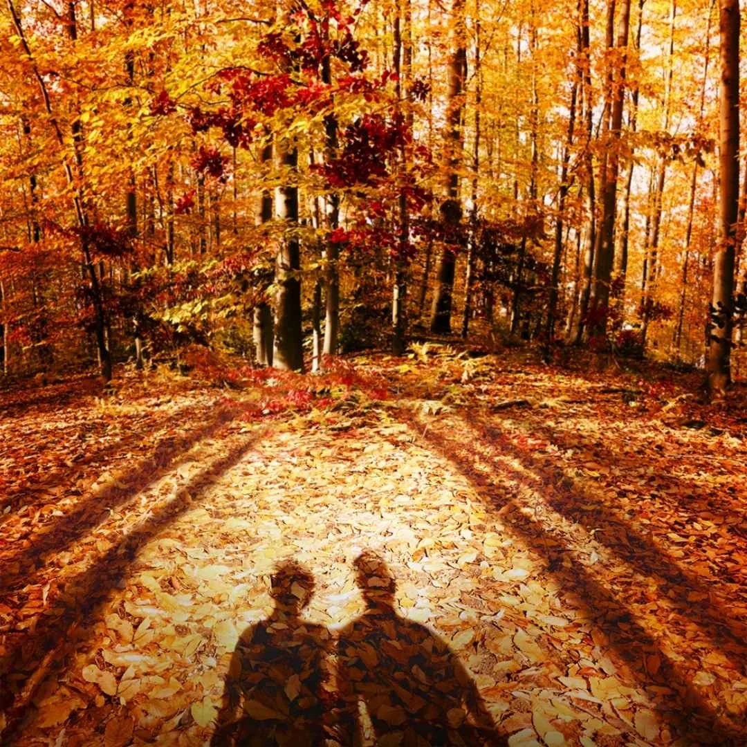 REPLICA Autumn Vibes Eau de Toilette - 100ml - Image 4