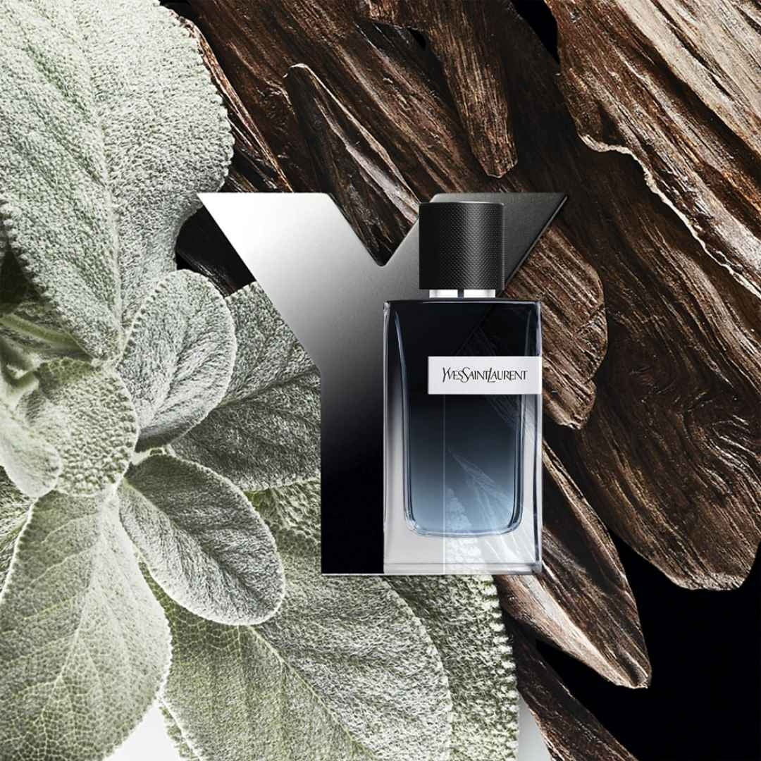Y Eau de Parfum - 60ml - Image 4
